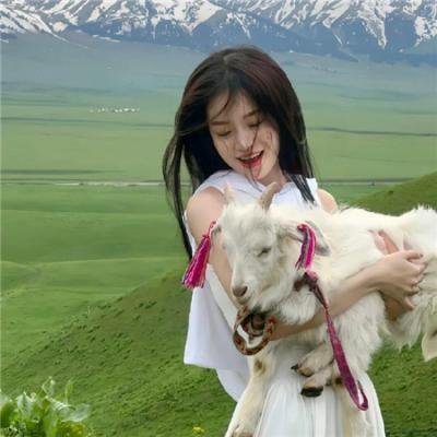 镜头下的爱情